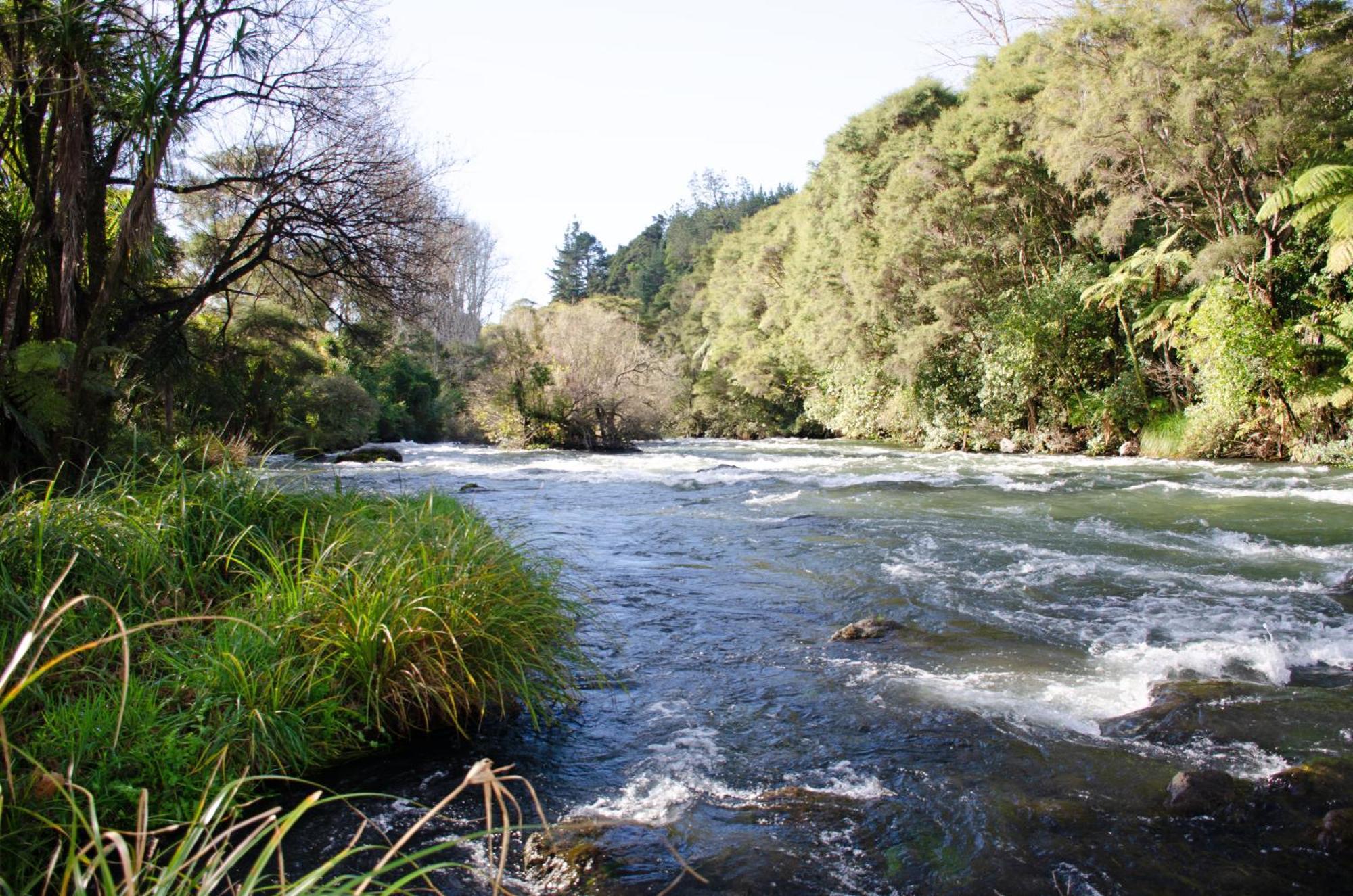 Kawerau 塔拉威拉河旅馆酒店 外观 照片